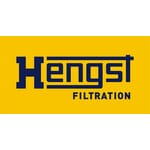 Hengst