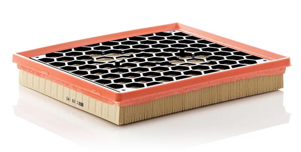 Air Filter · réf. C29145