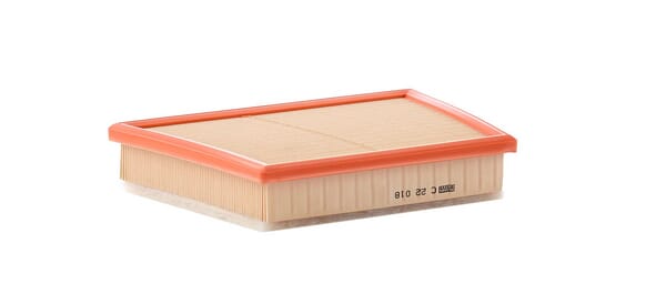 Filtre à air — réf. C22018