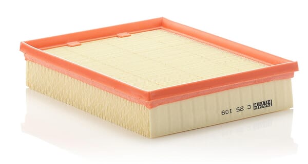Air Filter · réf. C25109