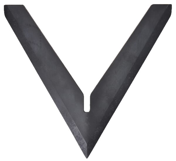 Šípová radlička bez slupice