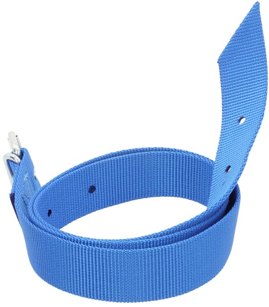 Collier de marquage bleu 135cm vue 2