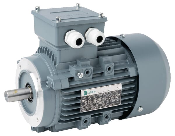 Moteur électrique 0,75 kW · réf. 015602