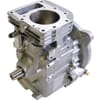 Shortblocks Briggs & Stratton