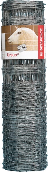 non electric dog fence
