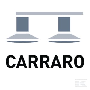 D_CARRARO