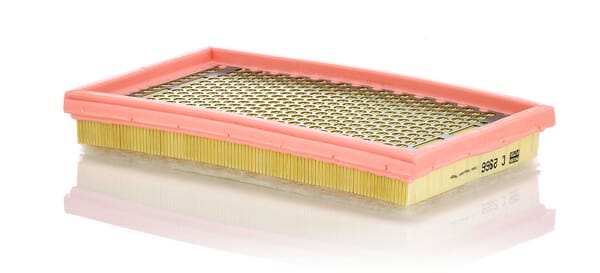 Air Filter · réf. C2966