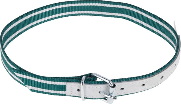 Obojek pro ovce a telata, 85x4cm