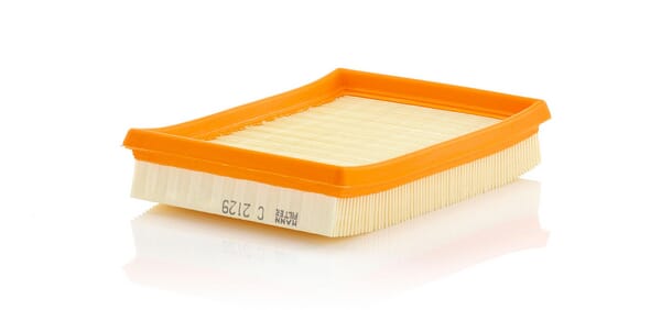 Air Filter · réf. C2129