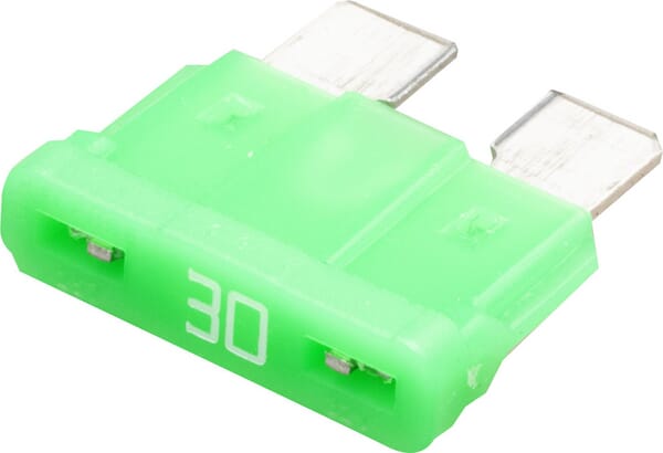 Fusible 30A · réf. 8JS711690002P001