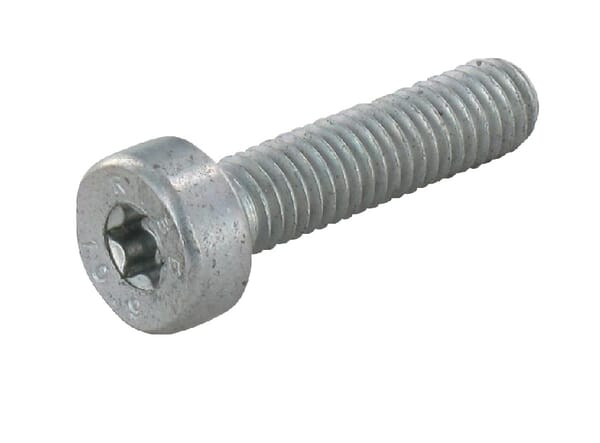 Šr.s válc.hlavou IS-M 5x25