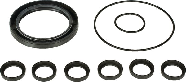 Kit remplacem. pompes Bertoli — réf. 039874973