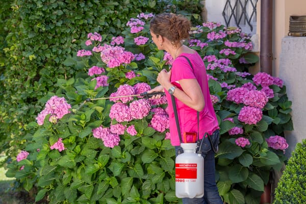 Pulvérisateur, Garden Star 3, 3 L vue 2