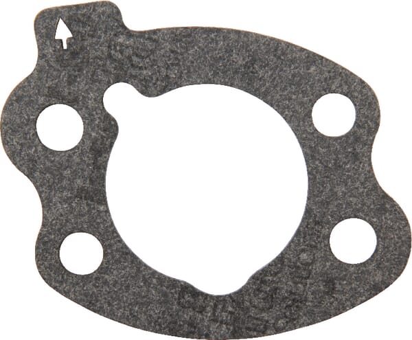 Joint de filtre à air Briggs & Stratton — réf. 844931