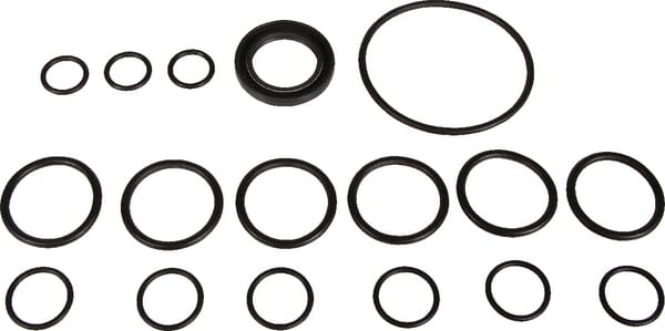 Kit remplacem. pompes Bertoli — réf. 629803973