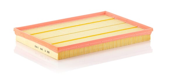 Air Filter · réf. C36145