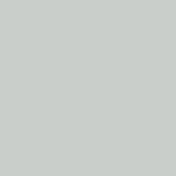 RAL 9018 Blanc papyrus 1 L vue 2