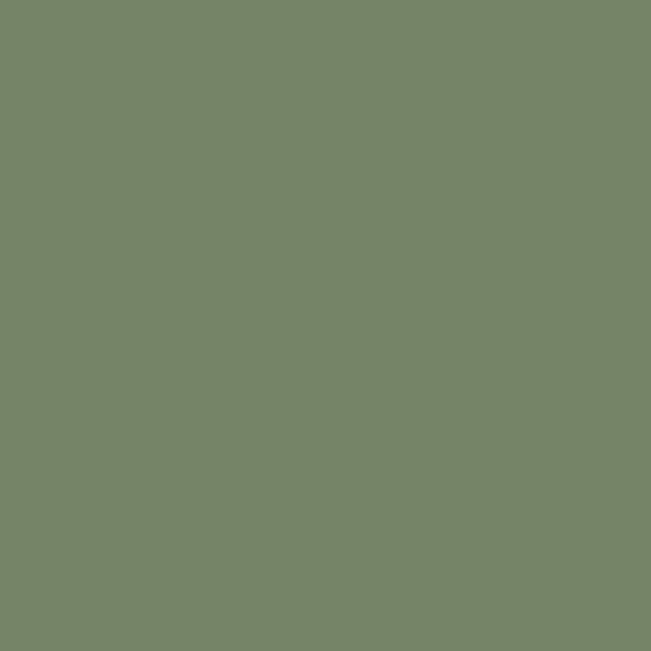 RAL 6011 vert réséda 1 L vue 2