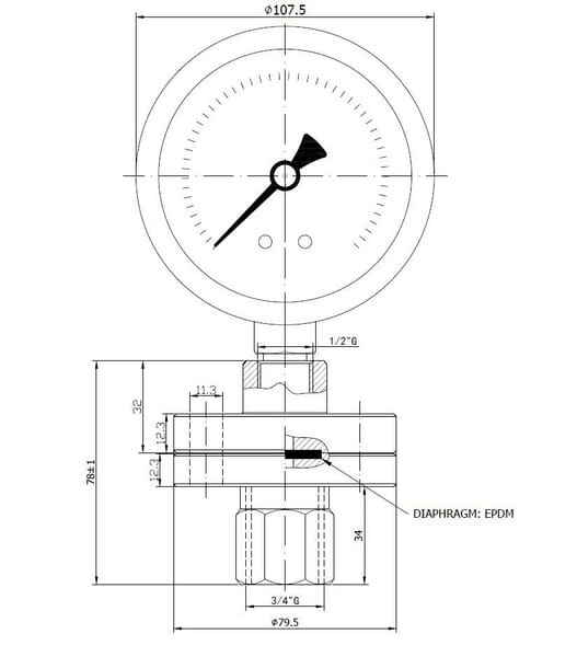 Manomètre 3/4" + membrane vue 5