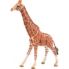 14749SCH Giraff, hane