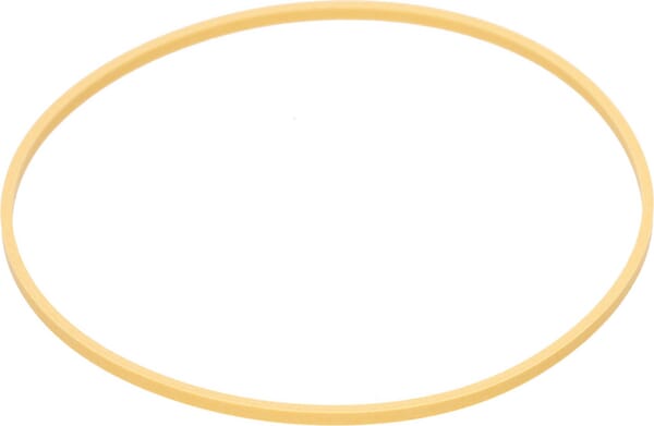 Circlip — réf. 92561C1