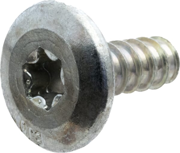 Vis autotaraudeuse à tête cylindrique IS-P5 x 14 — réf. 00009511105