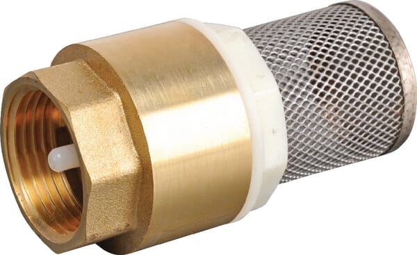 Crépine+clapet 1" inox — réf. WK51303