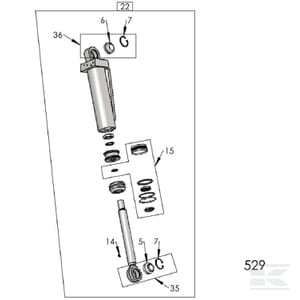 TR_KONG37_FIG_529B_EV