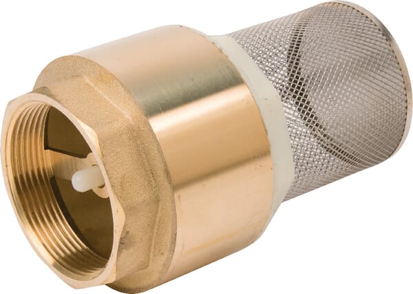 Crépine+clapet 2" inox — réf. WK51306