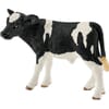 Cielę Holstein