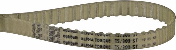 Courroie dentée ZRM 60T - 10 mm — réf. T530010