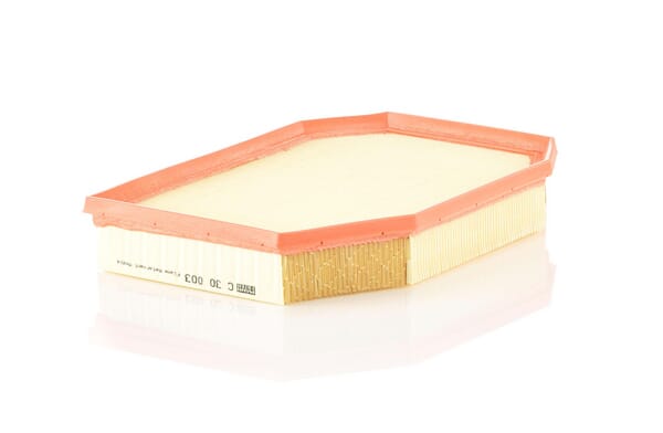 Air Filter · réf. C30003