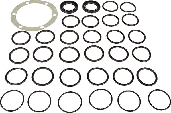 Kit remplacem. pompes Bertoli — réf. 149883973
