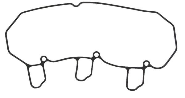 Těsnění krytu ventilu 3TNV76