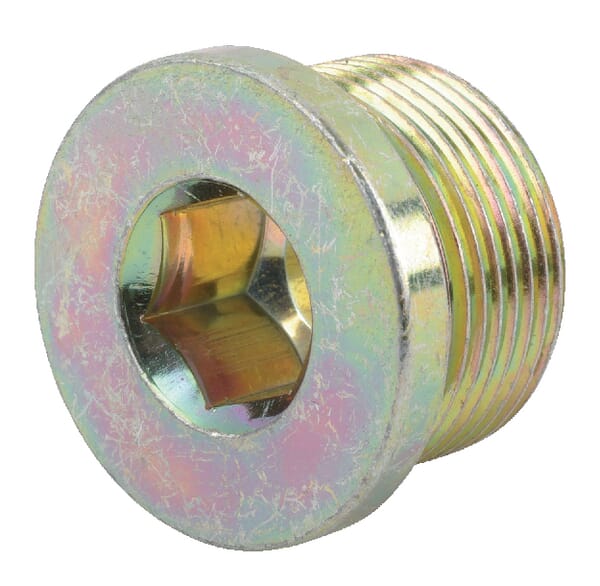 Bouchon d'extrémité M26x1,5 — réf. 01149197