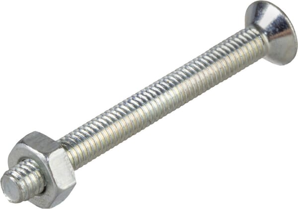 Šroub M 3x30 Znb T.S.E.