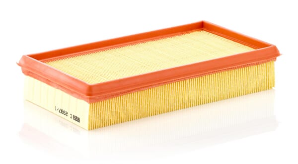 Air Filter · réf. C29871