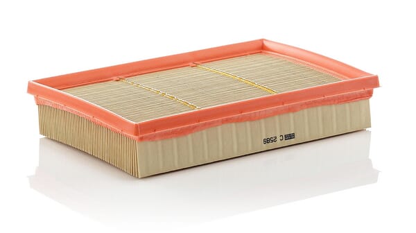 Air Filter · réf. C2589