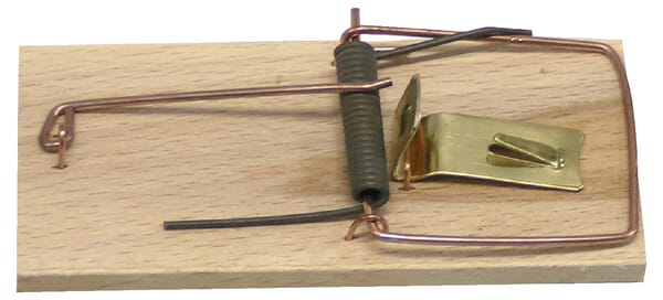 Past na myši dřevěná