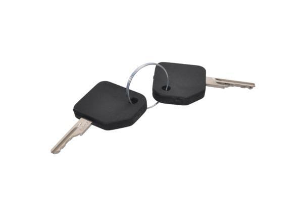 Clé de contact (2 pcs) — réf. 1964831C2