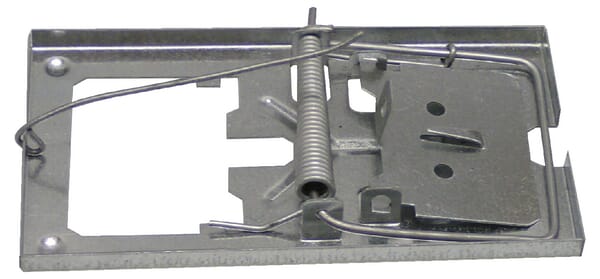 Kovová past na myši