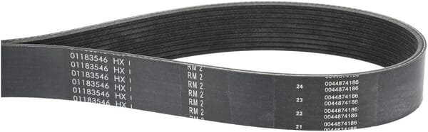 Courroie trapézoïdale — réf. 1000294991
