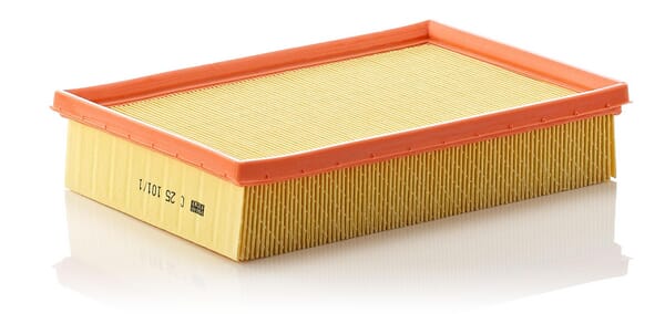 Air Filter · réf. C251011
