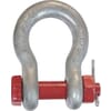 Bow shackle H G-4163 with nut