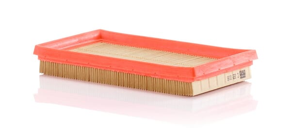 Air Filter · réf. C22016