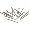 Wire Nails 1kg, Blank