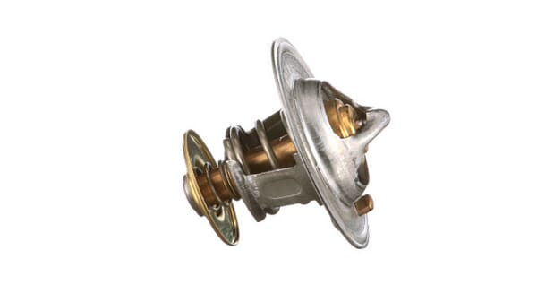 Thermostat — réf. 504038890FPT
