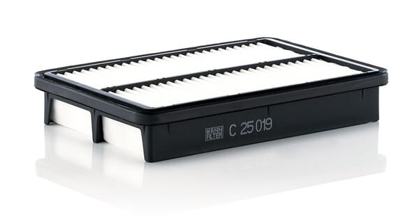 Air Filter · réf. C25019