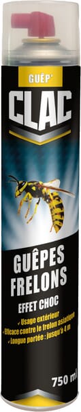Aérosol choc guêpes 750ML · réf. INTET91013