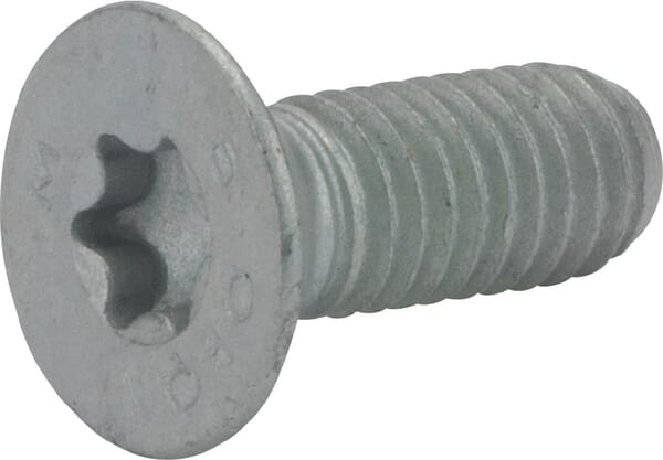 Šroub se zap.hlavou Torx FE/ZN